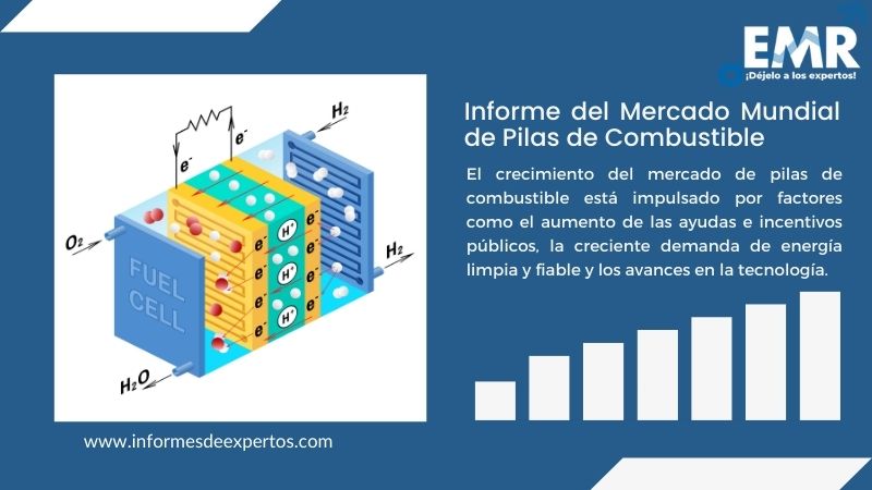 Informe del Mercado de Pilas de Combustible