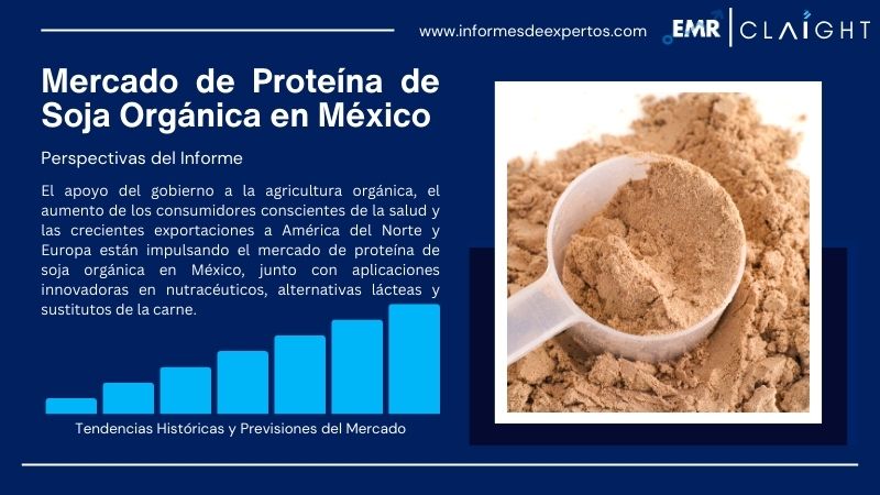Informe del Mercado de Proteína de Soja Orgánica en México