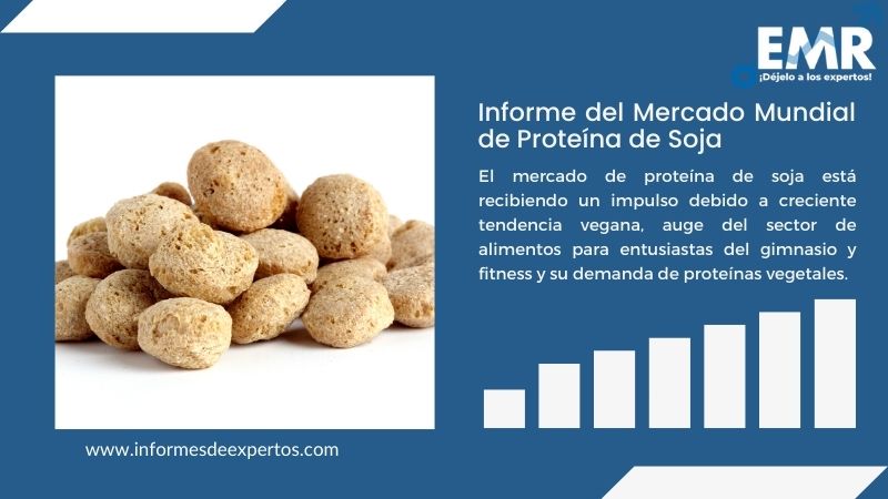 Informe del Mercado de Proteína de Soja