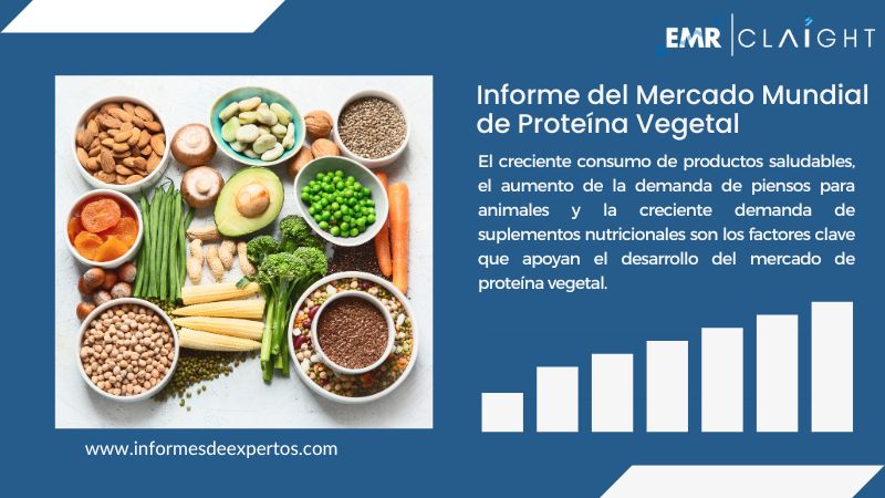 Informe del Mercado de Proteína Vegetal