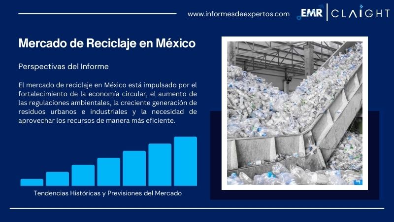 Informe del Mercado de Reciclaje en México