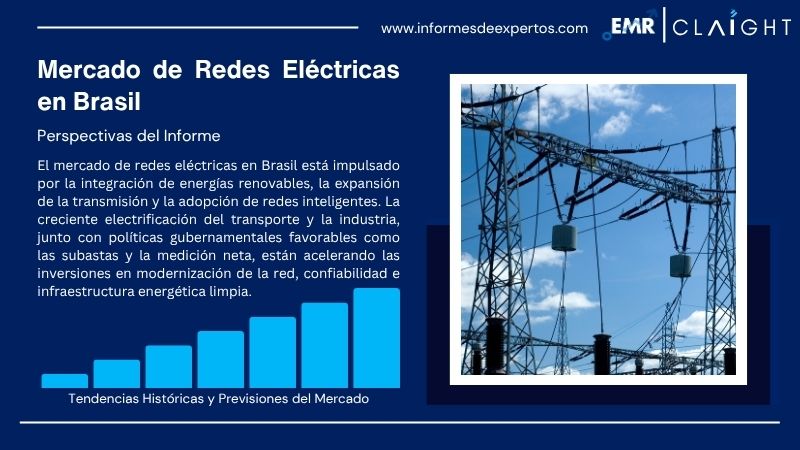 Informe del Mercado de Redes Eléctricas en Brasil