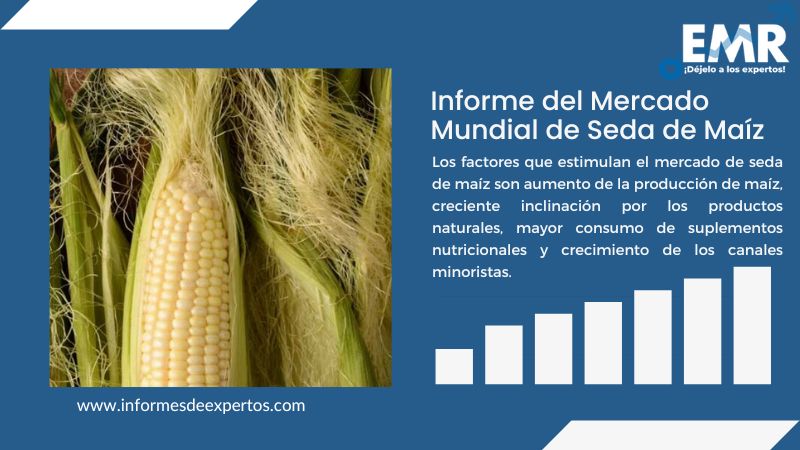 Informe del Mercado de Seda de Maíz