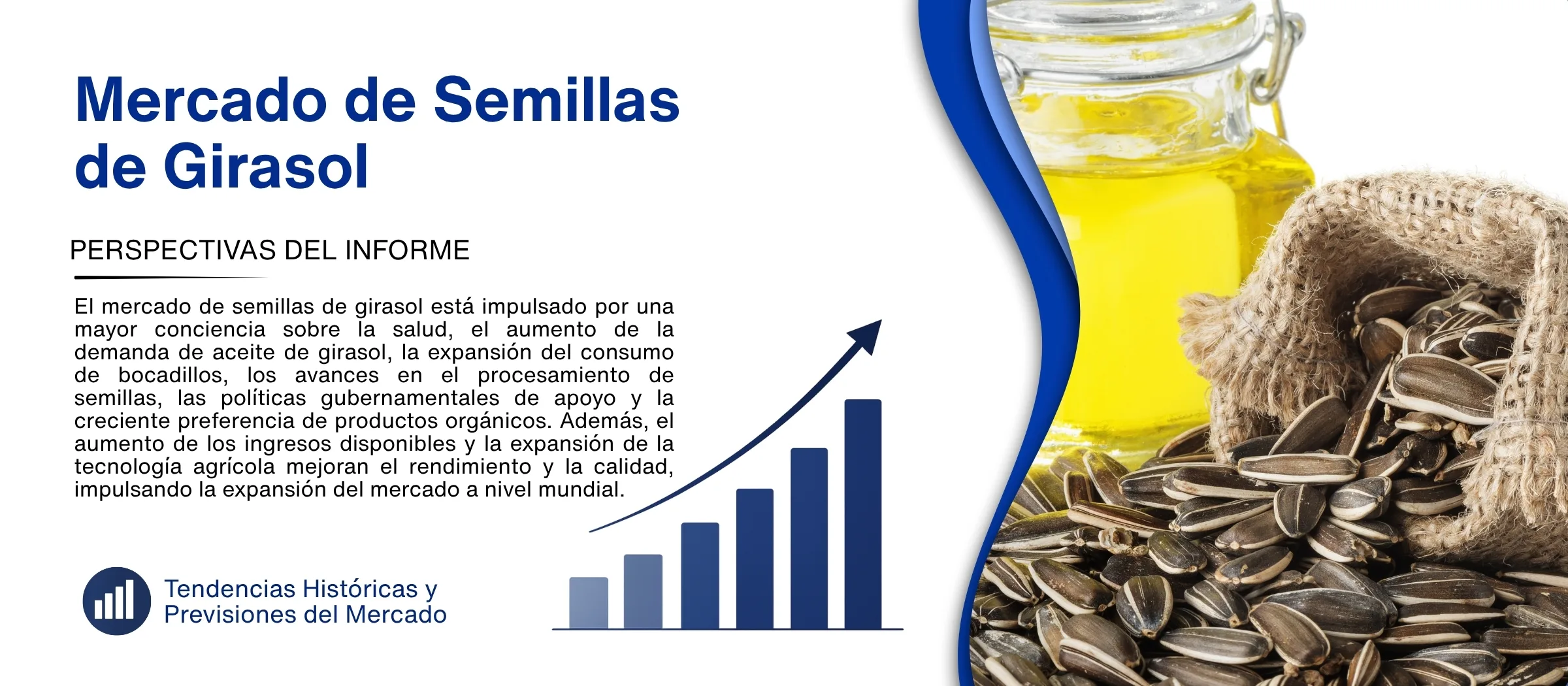 informe del mercado de semillas de girasol
