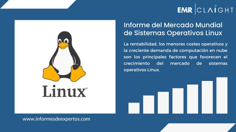 Informe del Mercado de Sistemas Operativos Linux