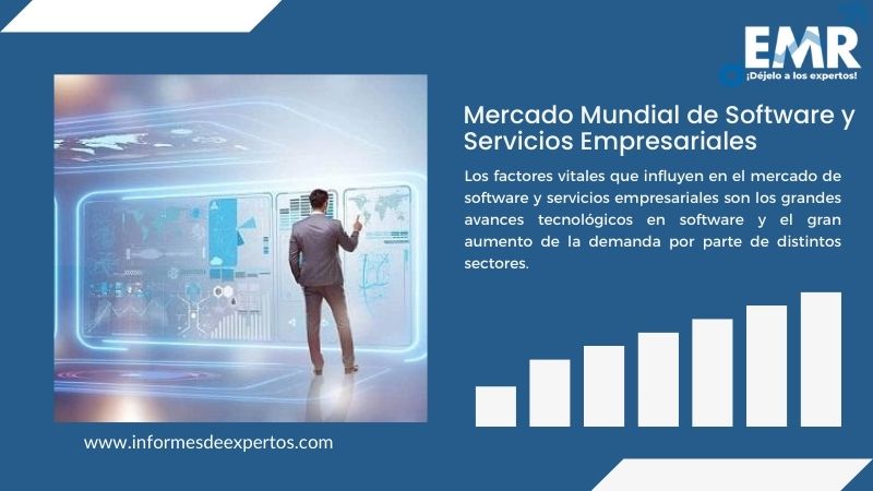 Informe del Mercado de Software y Servicios Empresariales