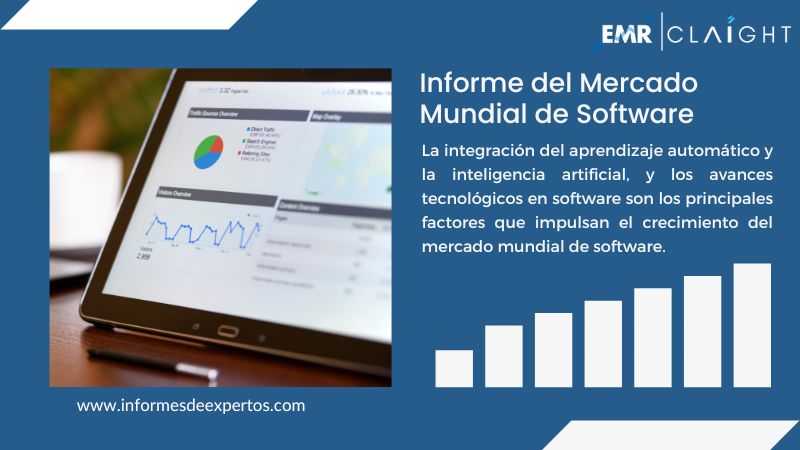 Informe del Mercado de Software