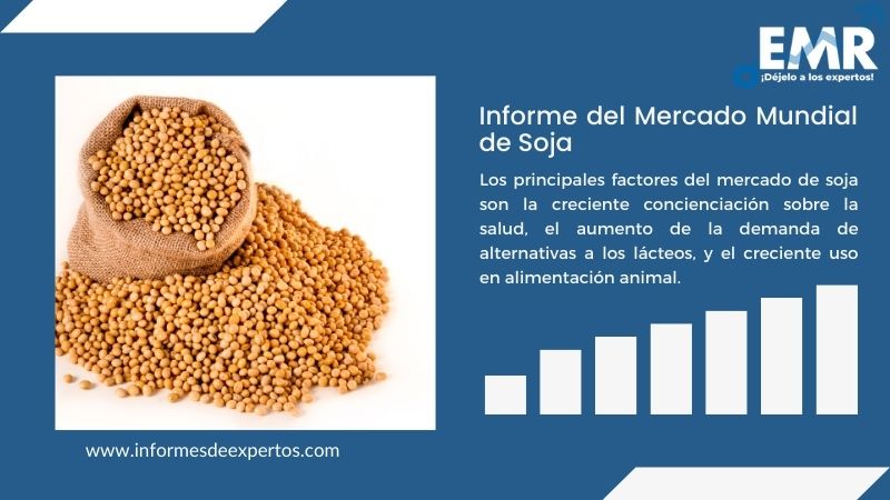 Informe del Mercado de Soja