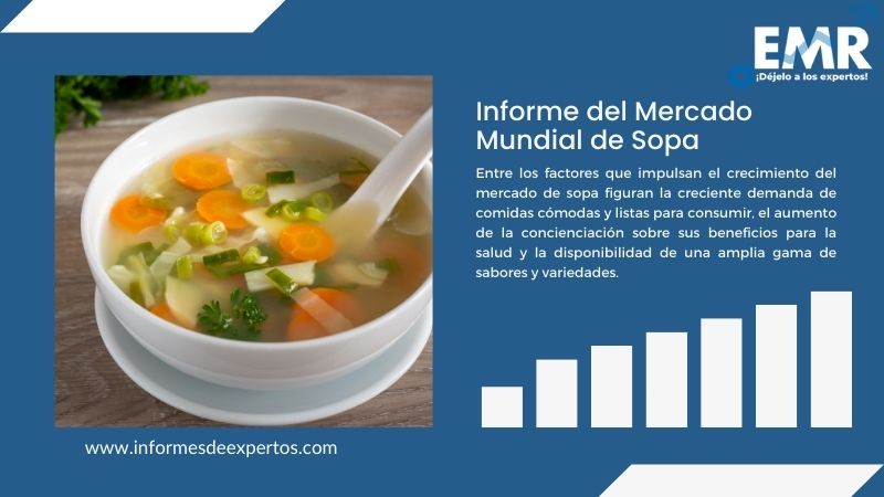 Informe del Mercado de Sopa