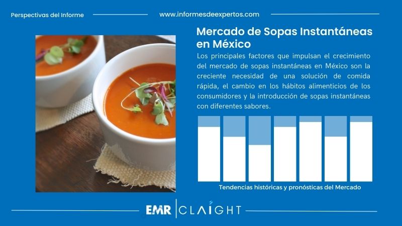 Informe del Mercado de Sopas Instantáneas en México