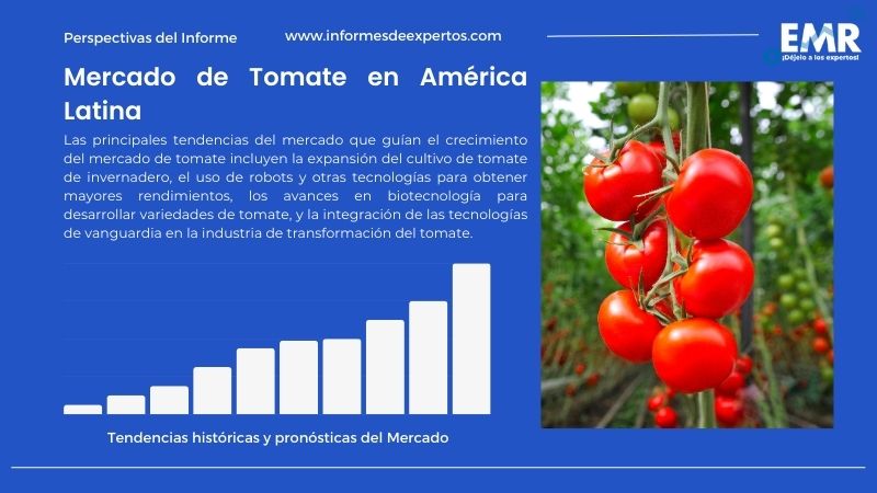 Informe del Mercado de Tomate en América Latina