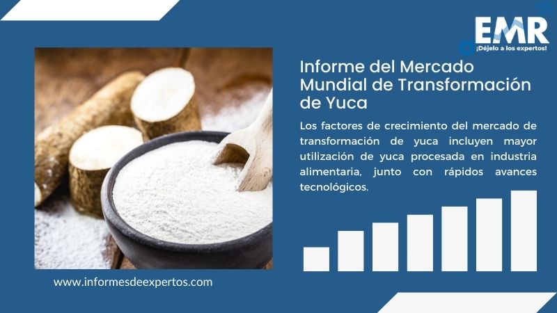 Informe del Mercado de Transformación de Yuca