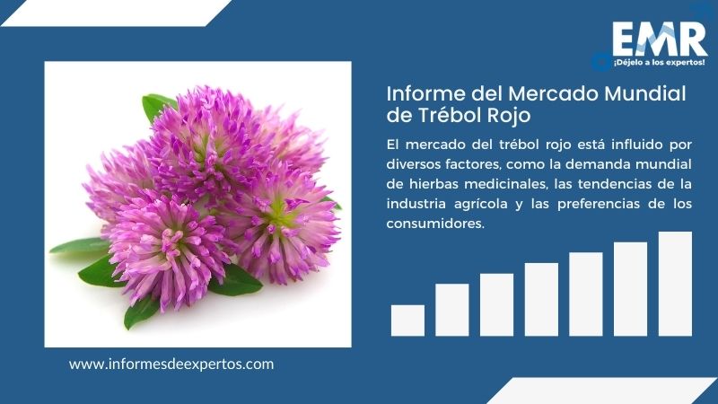 Informe de Mercado de Trébol Rojo