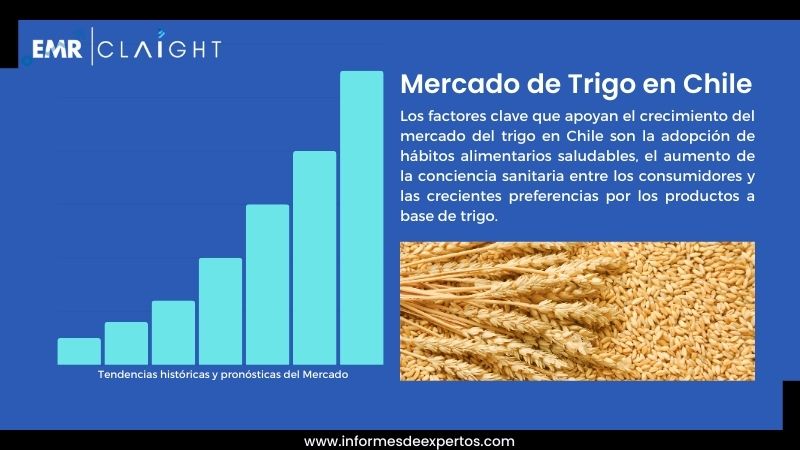 Segmento del Mercado de Trigo en Chile