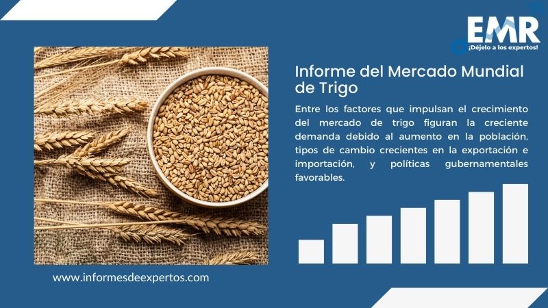 Informe del Mercado de Trigo