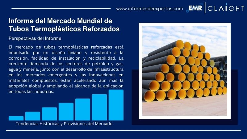Informe del Mercado de Tubos Termoplásticos Reforzados