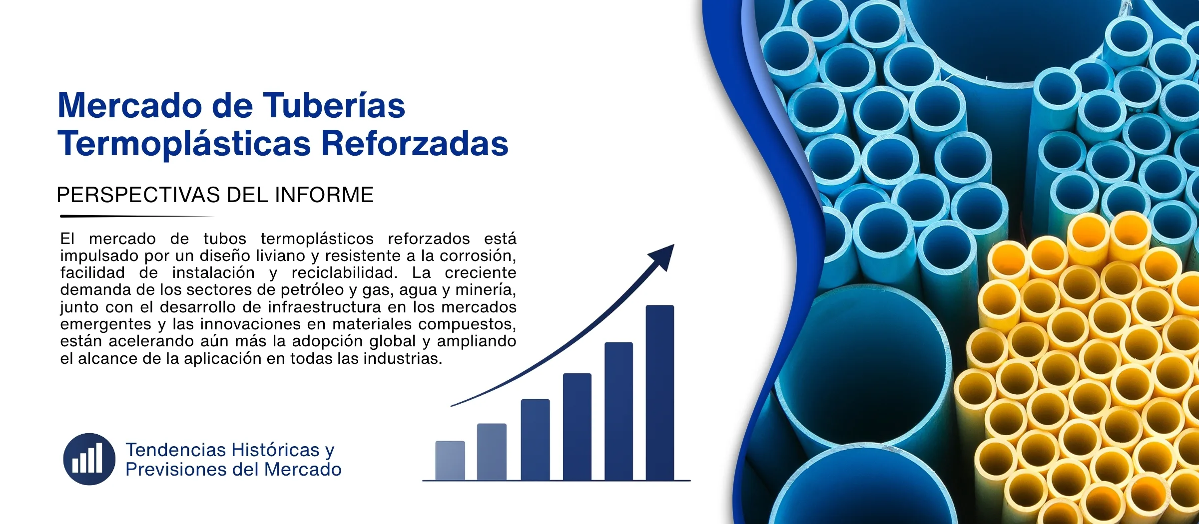 informe del mercado de tubos termoplasticos reforzados