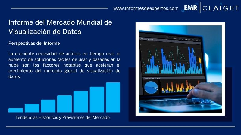 Informe del Mercado de Visualización de Datos