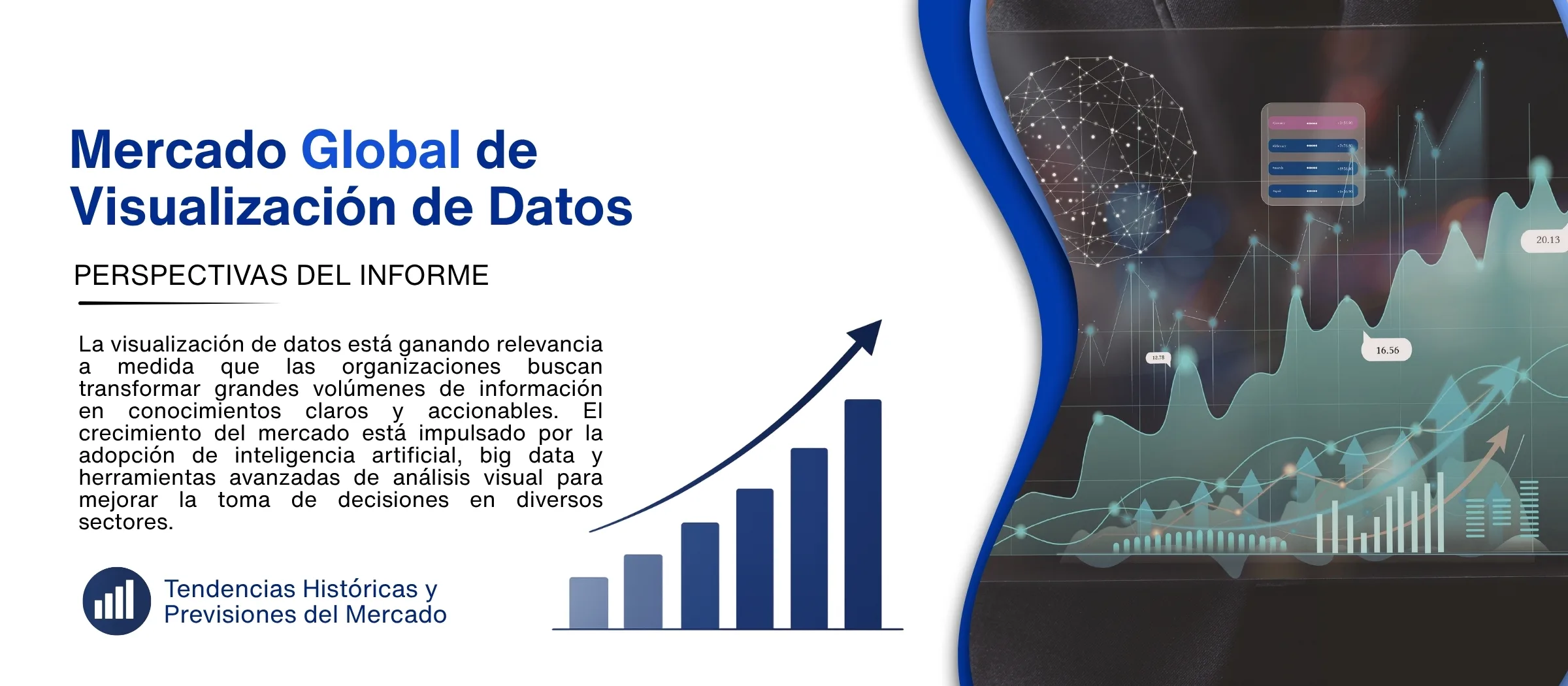 informe del mercado de visualizacion de datos