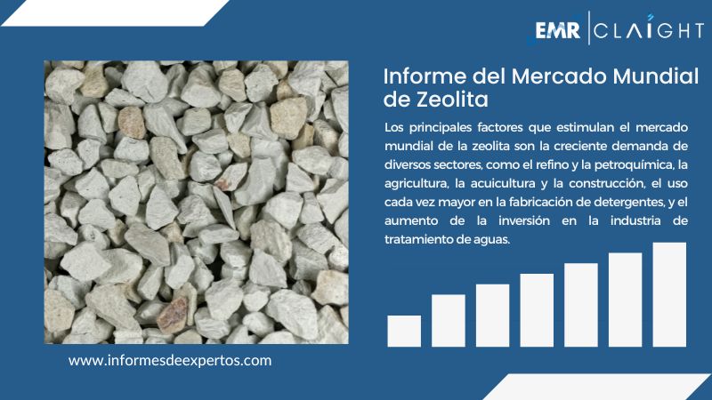 Informe del Mercado de Zeolita