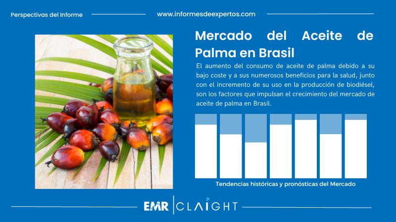 Informe del Mercado del Aceite de Palma en Brasil