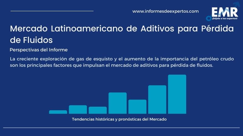 Informe del Mercado Latinoamericano de Aditivos para Pérdida de Fluidos