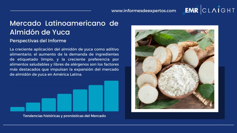 Informe del Mercado Latinoamericano de Almidón de Yuca