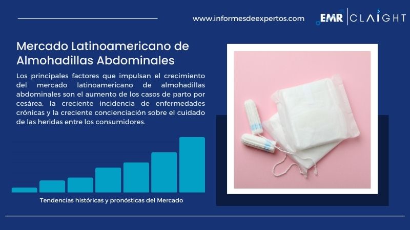 Informe del Mercado Latinoamericano de Almohadillas Abdominales