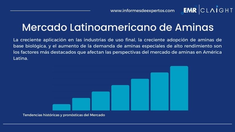 Informe del Mercado Latinoamericano de Aminas