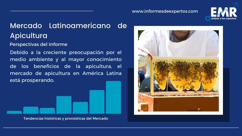 Informe del Mercado Latinoamericano de Apicultura