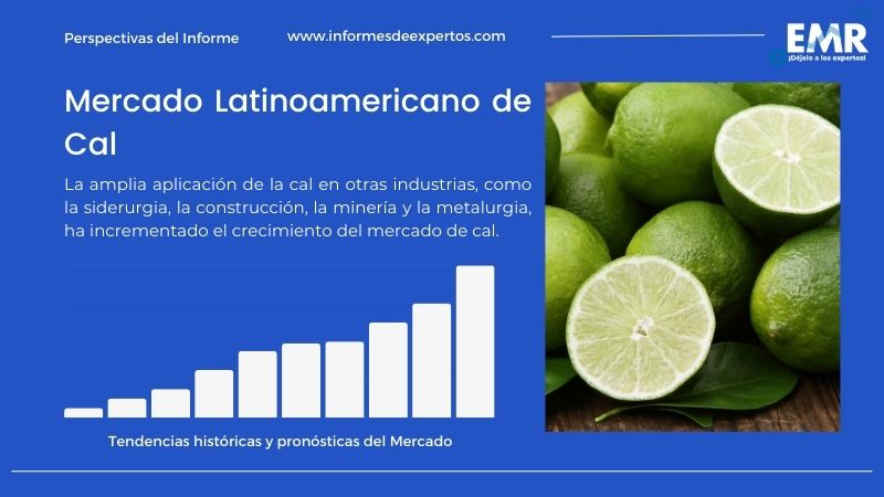 Mercado Latinoamericano de Cal Viva, Informe, Análisis 2024-2032