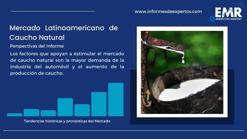 Informe del Mercado Latinoamericano de Caucho Natural
