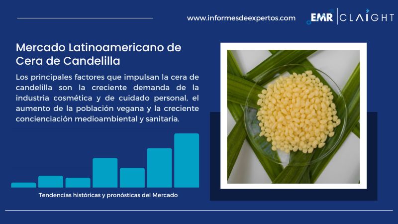 Informe del Mercado Latinoamericano de Cera de Candelilla