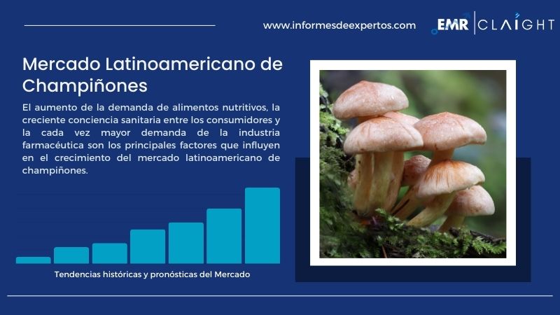 Informe del Mercado Latinoamericano de Champiñones