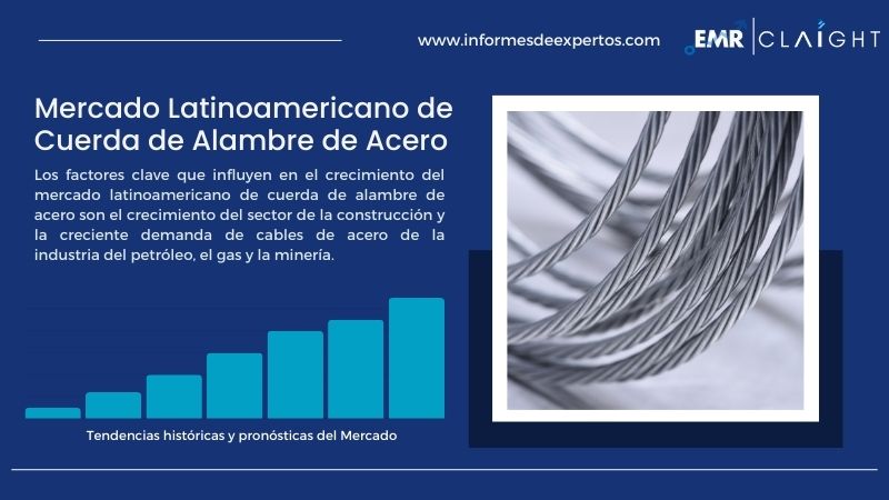 Informe del Mercado Latinoamericano de Cuerda de Alambre de Acero