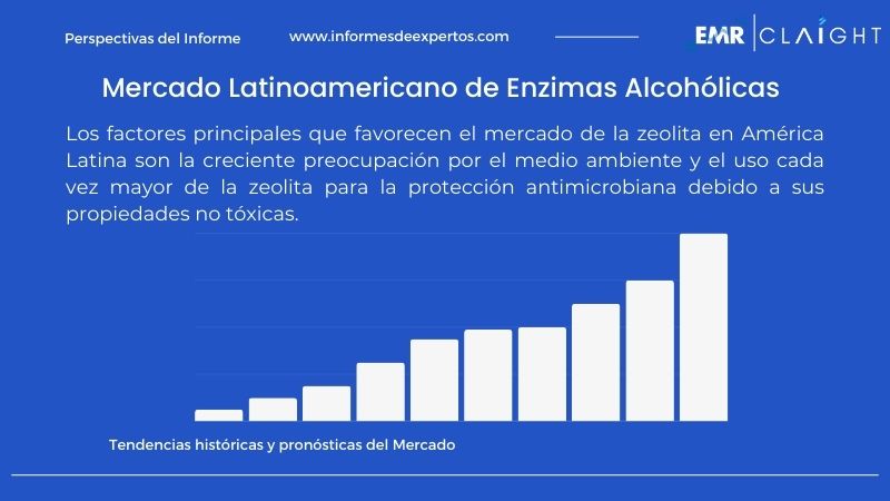 Informe del Mercado Latinoamericano de Enzimas Alcohólicas