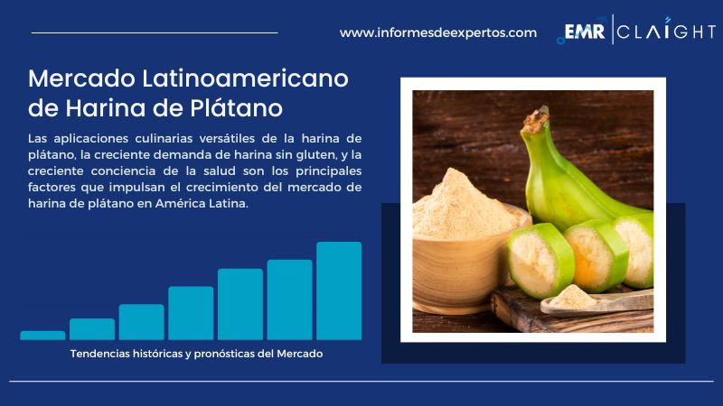 Informe del Mercado Latinoamericano de Harina de Plátano