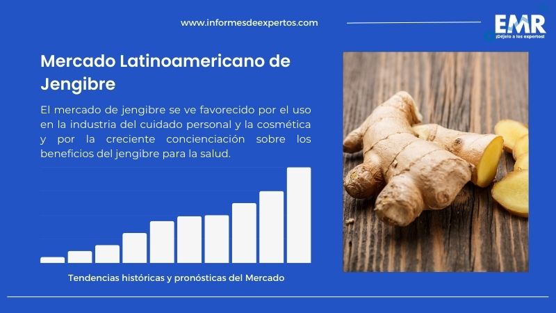 Informe del Mercado Latinoamericano de Jengibre