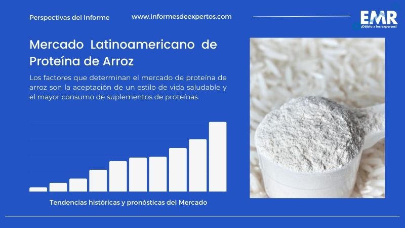 Informe del Mercado Latinoamericano de Proteína de Arroz