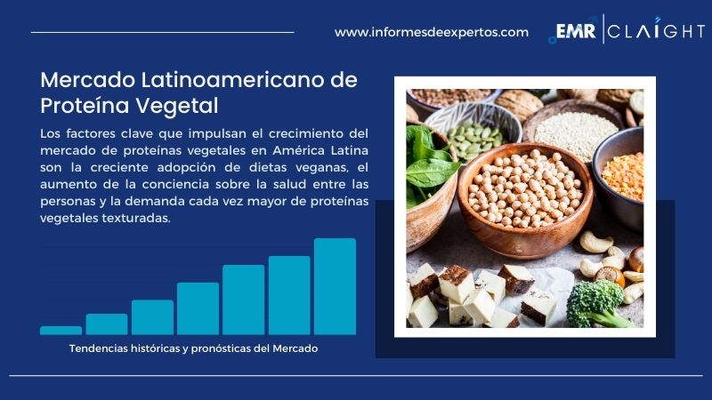 Informe del Mercado Latinoamericano de Proteína Vegetal