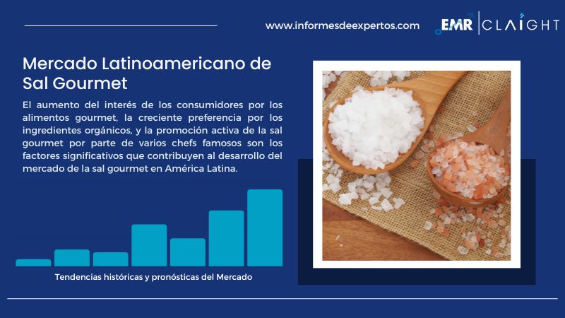 Informe del Mercado Latinoamericano de Sal Gourmet