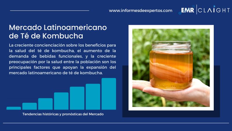 Informe del Mercado Latinoamericano de Té de Kombucha