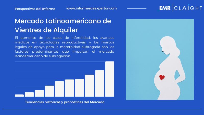 Informe del Mercado Latinoamericano de Vientres de Alquiler