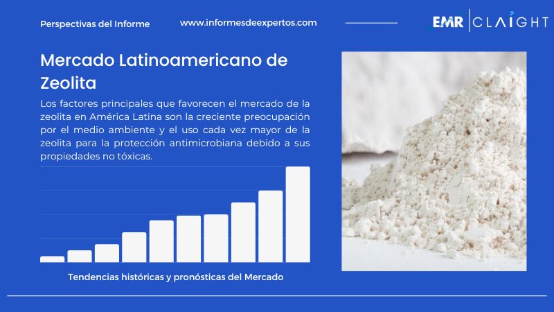 Informe del Mercado Latinoamericano de Zeolita