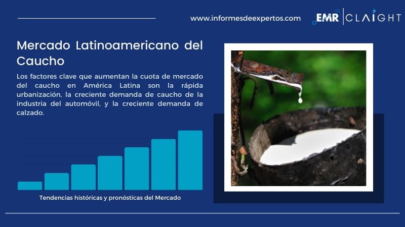 Informe del Mercado Latinoamericano del Caucho