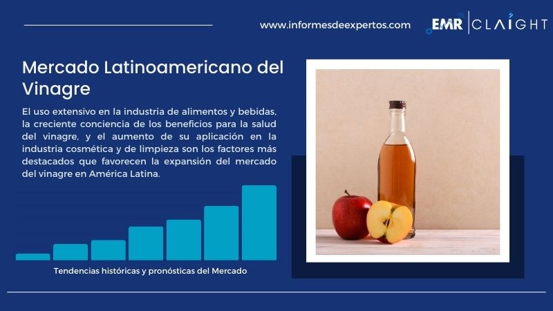 Informe del Mercado Latinoamericano del Vinagre