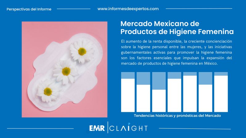 Informe del Mercado Mexicano de Productos de Higiene Femenina