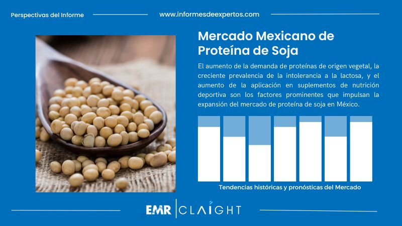 Informe del Mercado Mexicano de Proteína de Soja