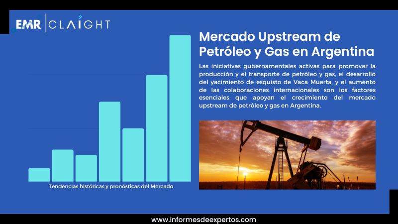 Informe del Mercado Upstream de Petróleo y Gas en Argentina