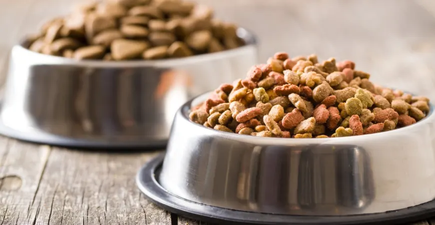 Las 5 empresas de alimentos para mascotas populares de america latina